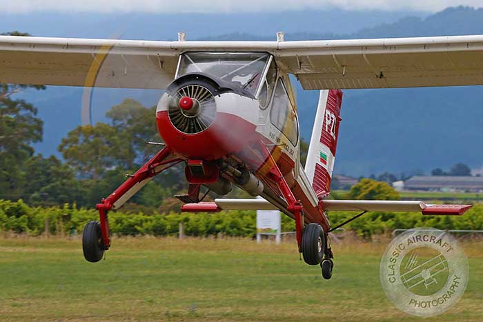 Healthy Bastards bush pilot champs at Marlborough Aero Club in Marlborough NZ